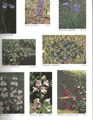 Wildflowers of The United States Volume Four Part Three of Three Parts: The Southwestern States