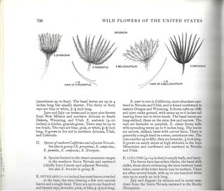 Wildflowers of The United States Volume Four Part Three of Three Parts: The Southwestern States