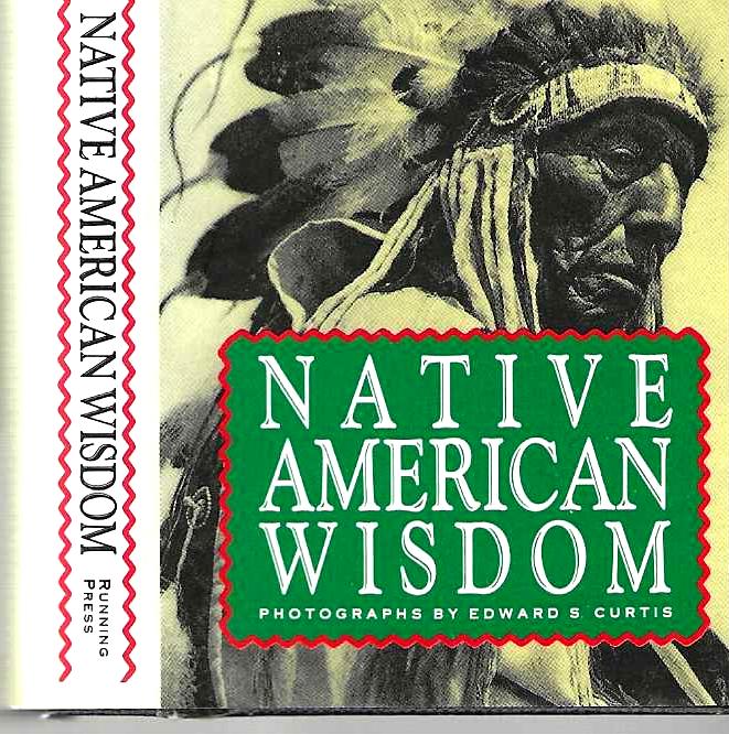 Item #14571 Native American Wisdom. David Borgenicht.