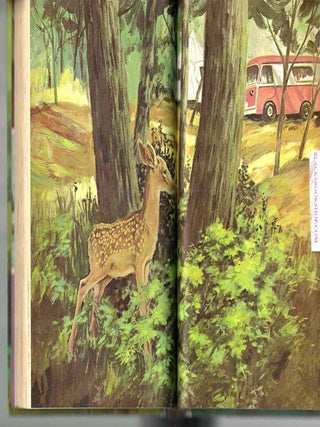 Animal Babies Wild and Free (A Whitman Tween-age Book)