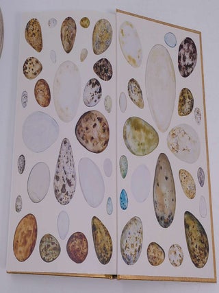 The Book of Birds: A Field Guide to Wonder and Loss