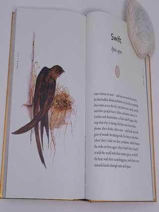 The Book of Birds: A Field Guide to Wonder and Loss